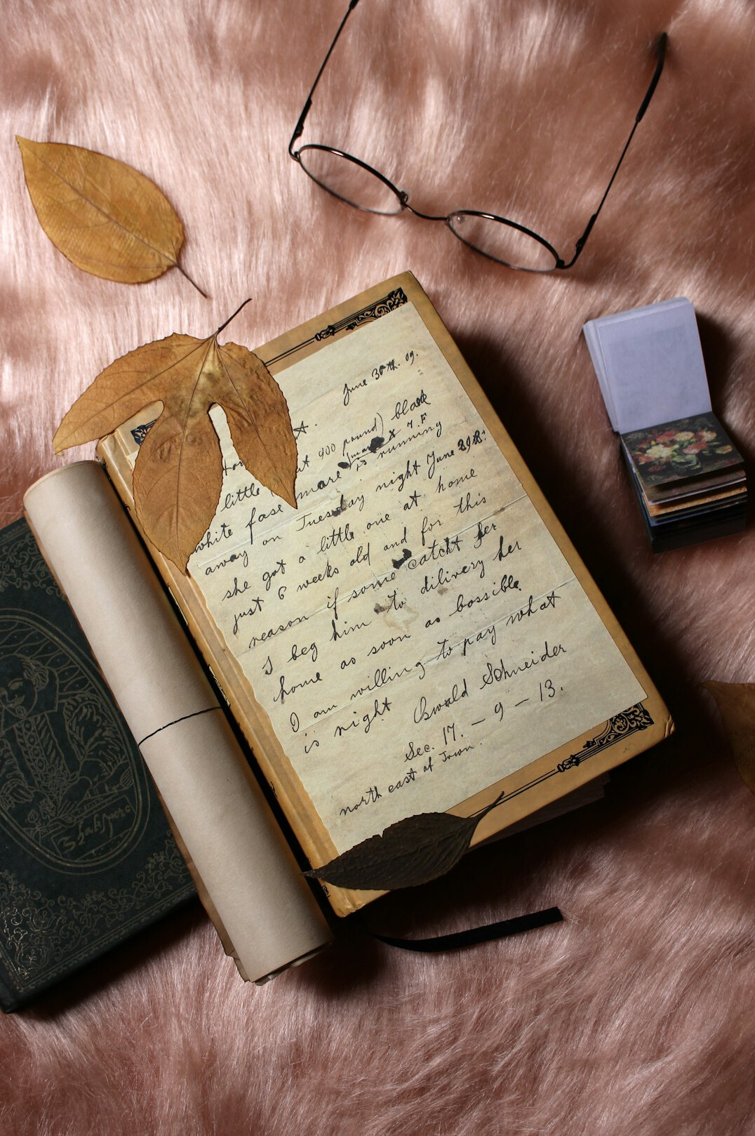 old diary pages